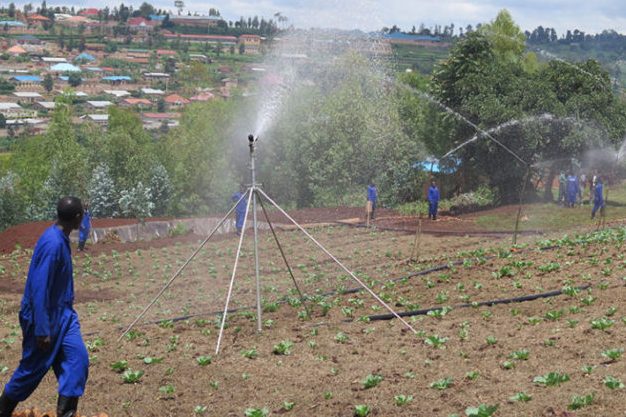 AGROAREAS 1 agroareas