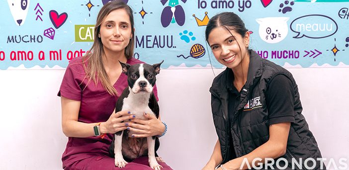 AGROCAMPO MI FUTURO 1 agrocampo mi futuro