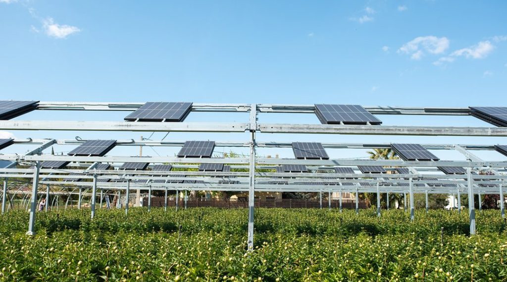 AGROSOLAR SAS 1 agrosolar sas