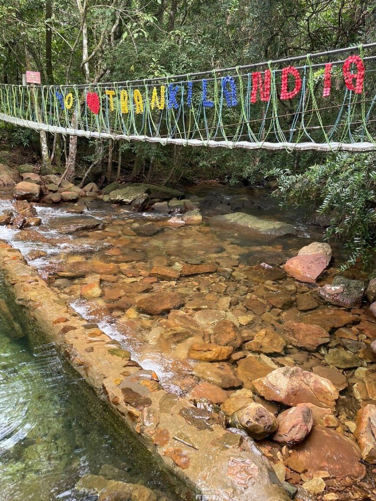 Agroveterinaria La Sabana, San Jose Del Guaviare 1 agroveterinaria la sabana san jose del guaviare