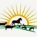 AGROVETERINARIA MIS POTRILLOS 1 agroveterinaria mis potrillos