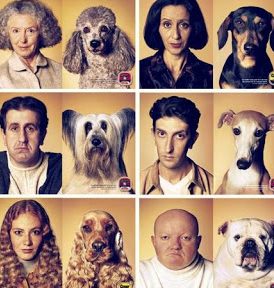 AMOS Y MASCOTAS 1 amos y mascotas