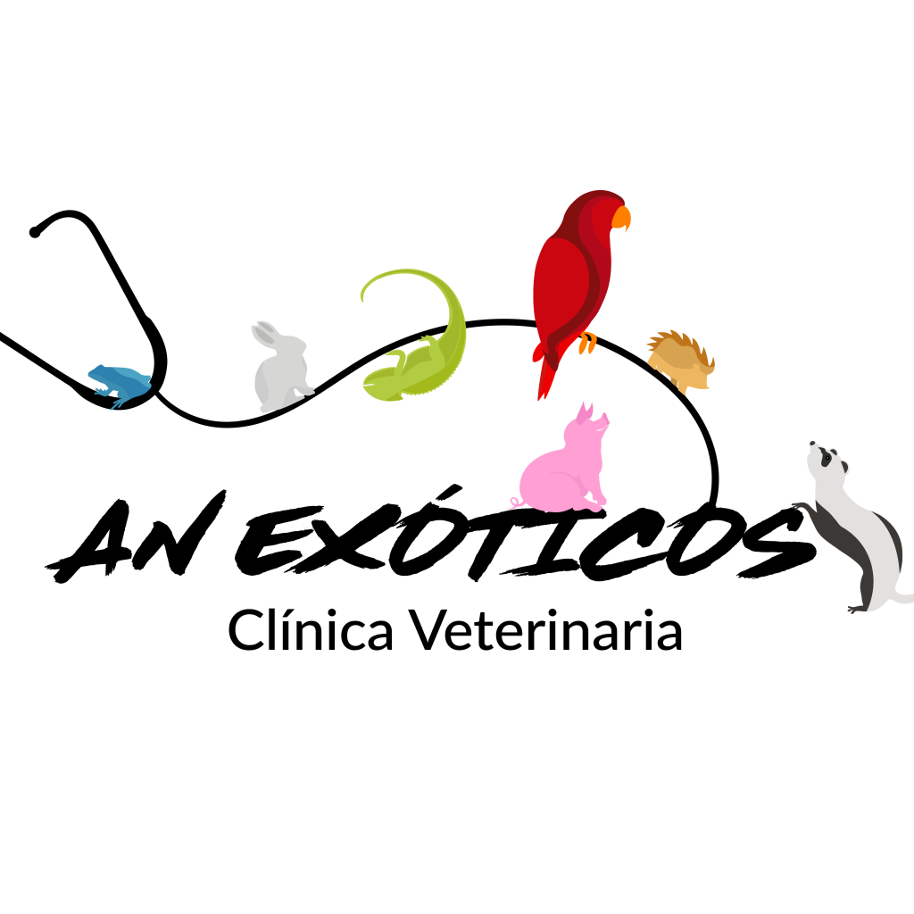 AN Exóticos Clínica Veterinaria 1 an exoticos clinica veterinaria