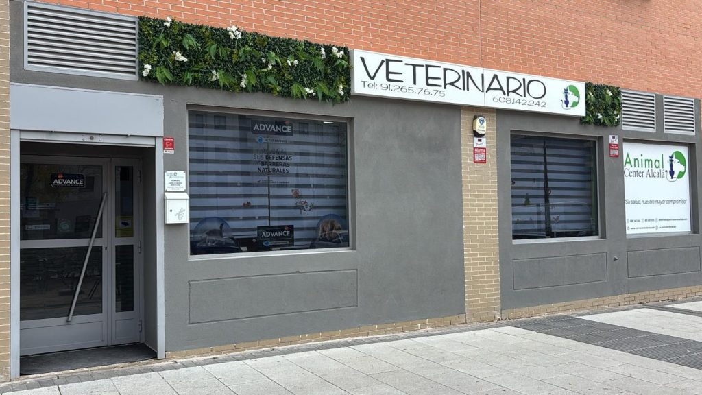 Animal Center Clínica Veterinaria 1 animal center clinica veterinaria