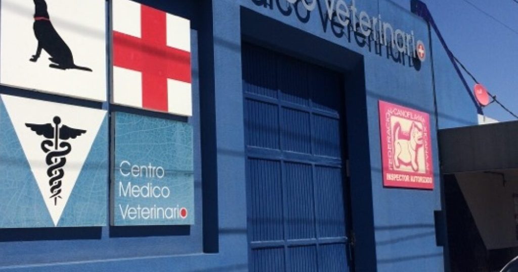 Animal health centro medico veterinario 1 animal health centro medico veterinario