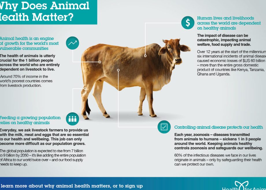 Animal Health 1 animal health