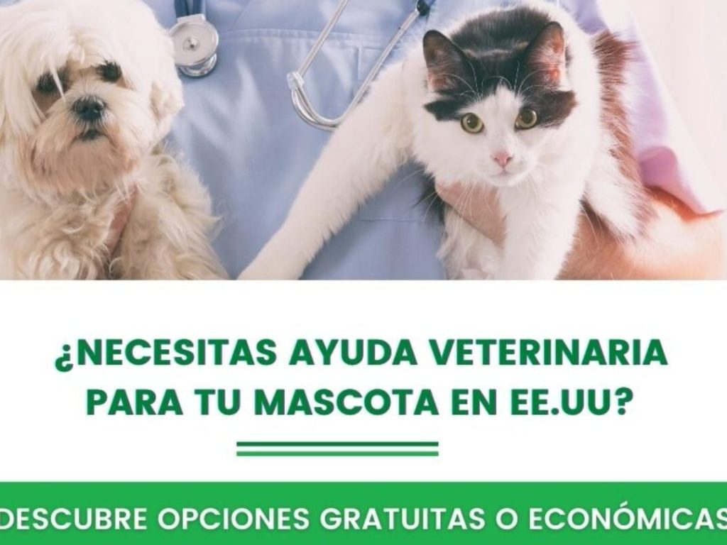 Animal help Centro Veterinario (Veterinaria) 1 animal help centro veterinario veterinaria