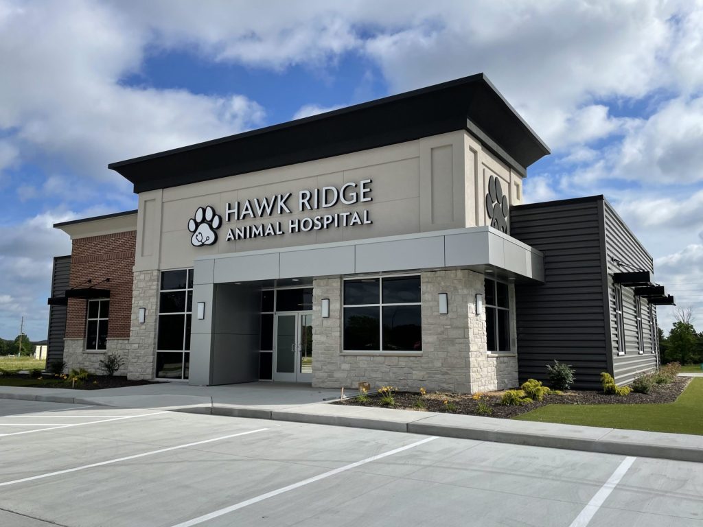 Animal Hospital 1 animal hospital