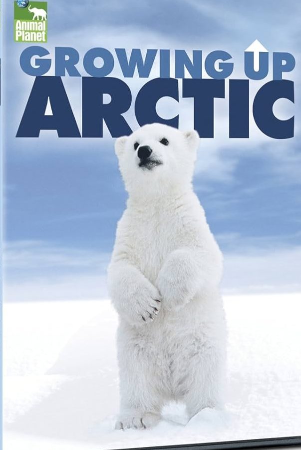 Animal Planet Hvp 1 animal planet hvp