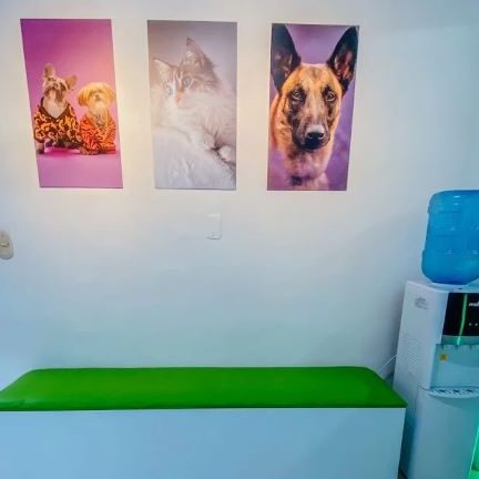 ANIMAL SERVICE - Veterinaria, pet-shop, spa en Sabaneta 1 animal service veterinaria pet shop spa en sabaneta