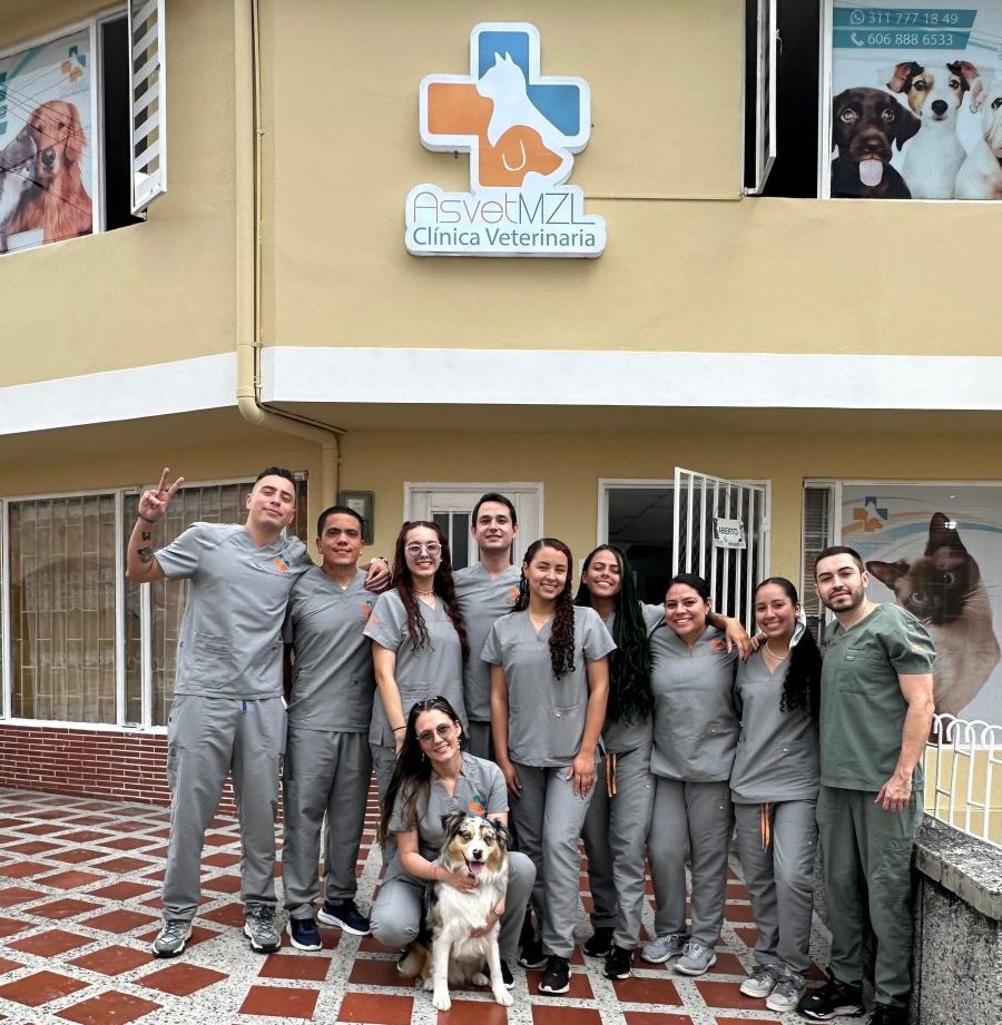 Asvet Clínica veterinaria 1 asvet clinica veterinaria