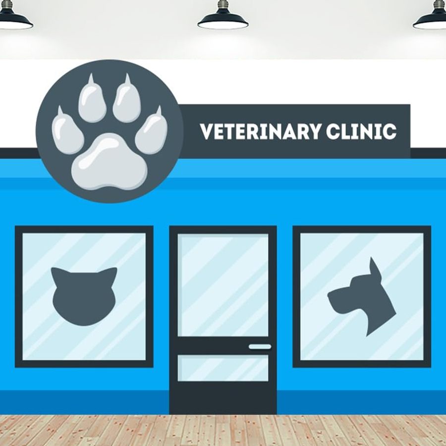 Azul Clínica Veterinaria 1 azul clinica veterinaria