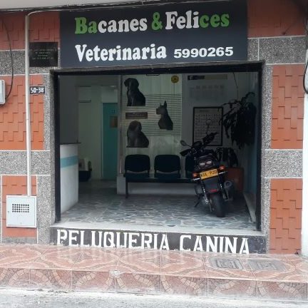 Bacanes y felices 1 bacanes y felices