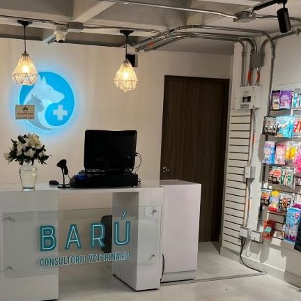 Barú Consultorio Veterinario 1 baru consultorio veterinario