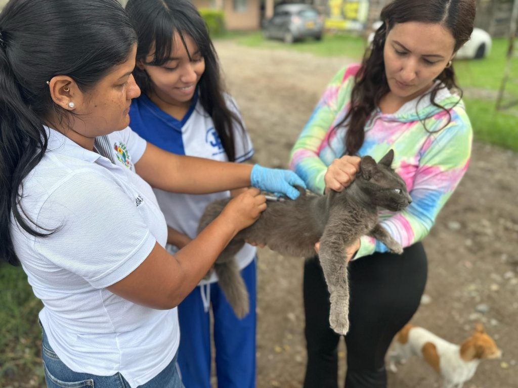 Bienestar Animal Tulua Centro Veterinario 1 bienestar animal tulua centro veterinario