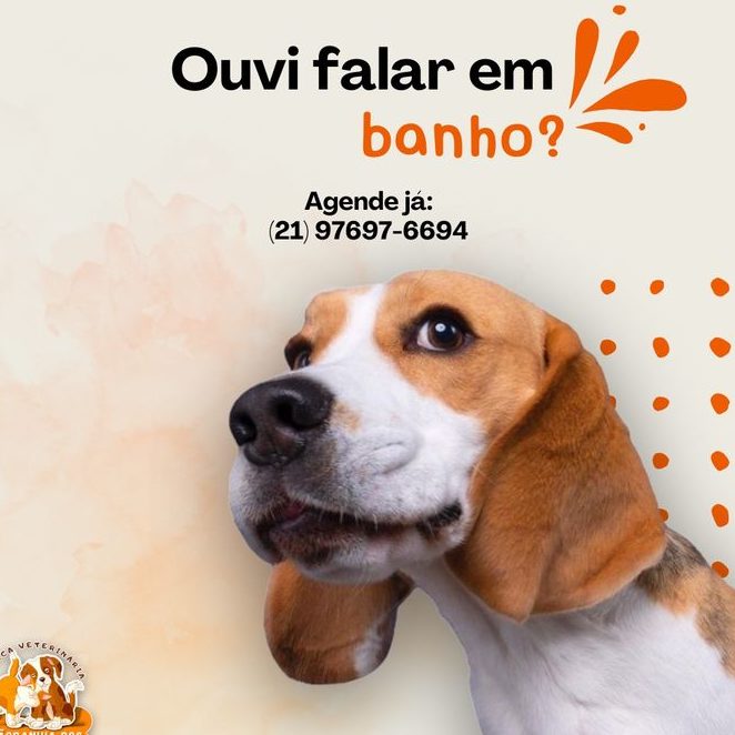 Cachorro Feliz Clínica Veterinaria - Pet Shop 1 cachorro feliz clinica veterinaria pet shop