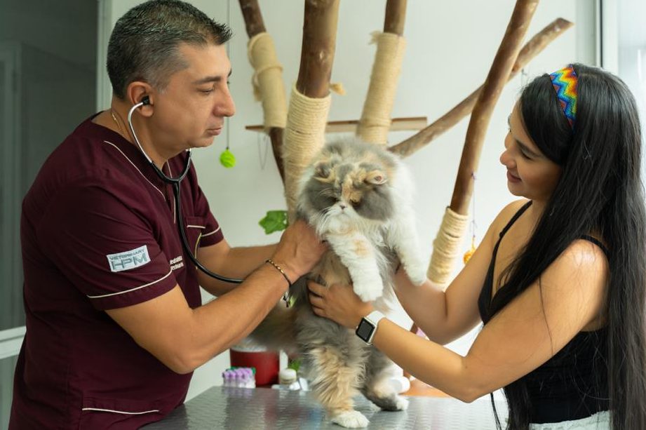 Can & Kat Centro Veterinario 1 can kat centro veterinario