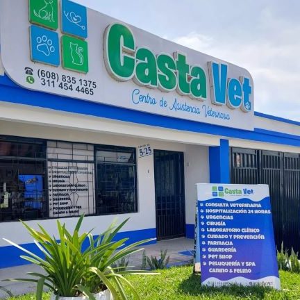 CASTA VET 1 casta vet