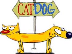 Cat y Dog 1 cat y dog