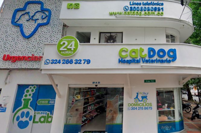 CatDog Hospital Veterinario 1 catdog hospital veterinario