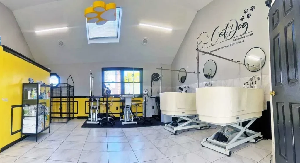 Catdog sal贸n 1 catdog salon