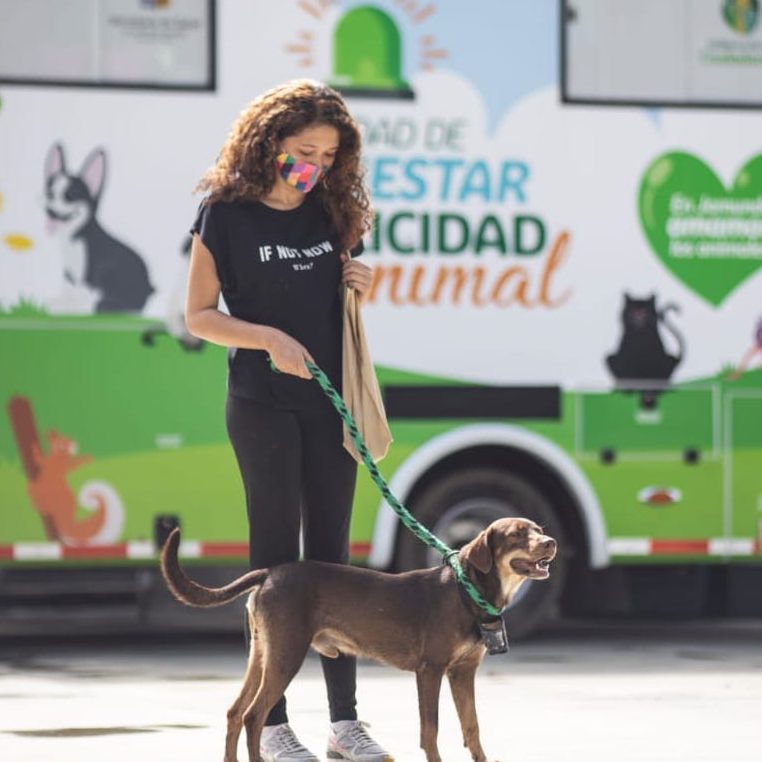 Centro Animal Jamundi 1 centro animal jamundi