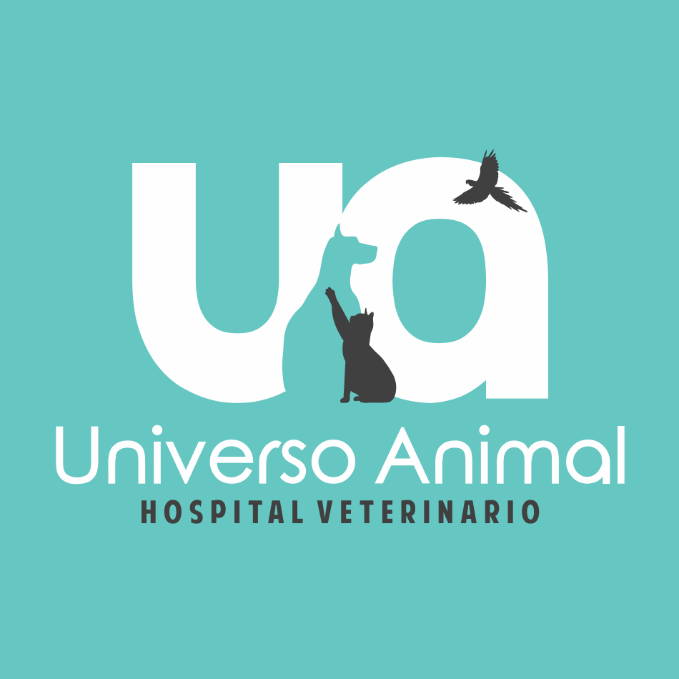 Centro Clínico Universo Animal 1 centro clinico universo animal
