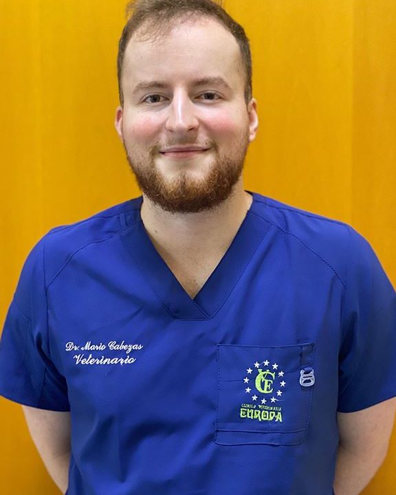 CENTRO MEDICO MARIO VETERINARIO 1 centro medico mario veterinario