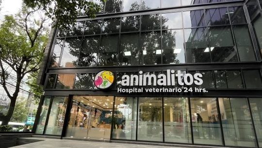 Centro Medico Veterinaria Animalitos 1 centro medico veterinaria animalitos