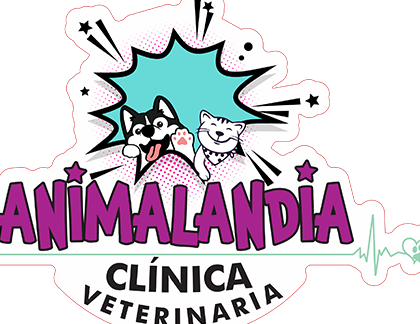 centro medico veterinario animalandia