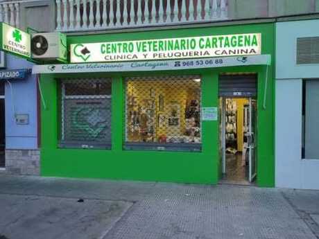 Centro Médico Veterinario Cartagena 1 centro medico veterinario cartagena