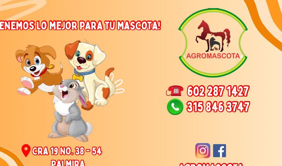 CENTRO MEDICO VETERINARIO YUMBOMASCOTAS 1 centro medico veterinario yumbomascotas