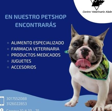 Centro Veterinario Aleán 1 centro veterinario alean