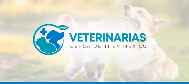 Centro Veterinario Buenaventura 1 centro veterinario buenaventura