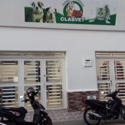 CENTRO VETERINARIO CLASVET 1 centro veterinario clasvet