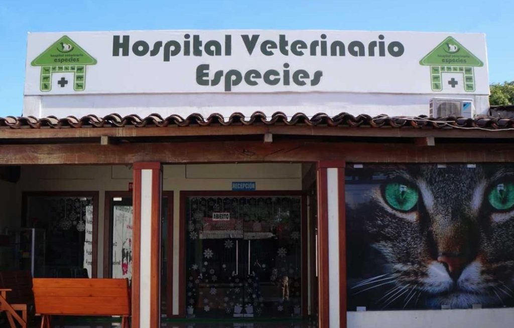 Centro Veterinario Especies 1 centro veterinario especies