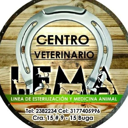 Centro Veterinario LEMA 1 centro veterinario lema