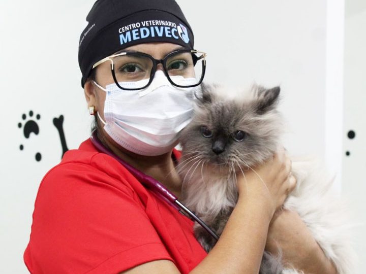 Centro veterinario Medivec 1 centro veterinario medivec