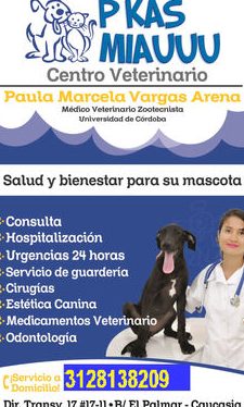 CENTRO VETERINARIO P'KAS MIAUUU: VETERINARIA EN CASA 1 centro veterinario pkas miauuu veterinaria en casa