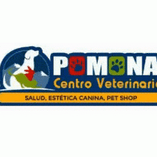 Centro Veterinario Pomona 1 centro veterinario pomona