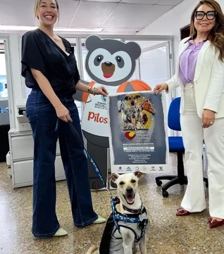 CENTRO VETERINARIO SALVANDO HUELLAS 1 centro veterinario salvando huellas