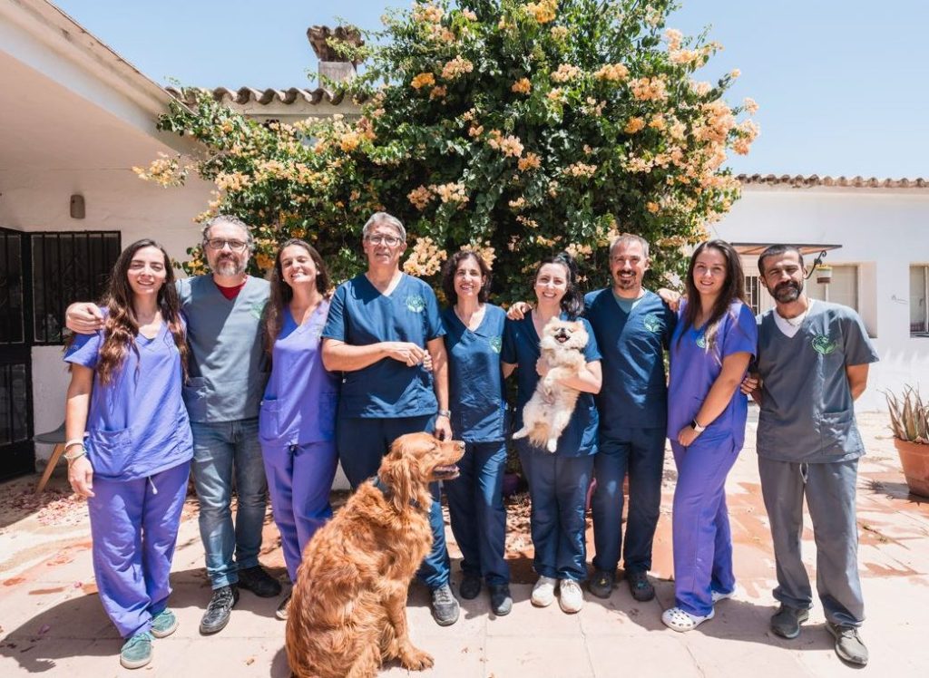 CENTRO VETERINARIO SAN FRANCISCO 1 centro veterinario san francisco