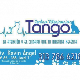 CENTRO VETERINARIO TANGO 1 centro veterinario tango