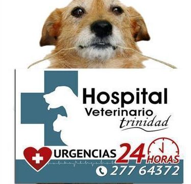 Centro Veterinario Trinidad 1 centro veterinario trinidad