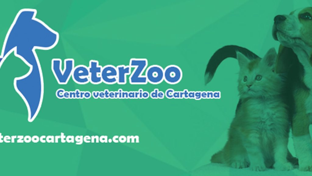 Centro Veterinario VetZoo 1 centro veterinario vetzoo