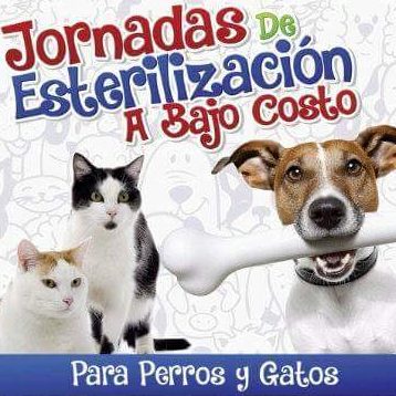 ceprencaf 1 ceprencaf