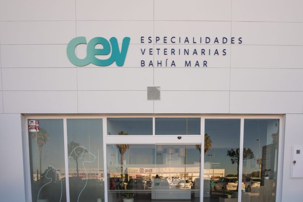 CEV Centro de Especialistas Mascotas 1 cev centro de especialistas mascotas