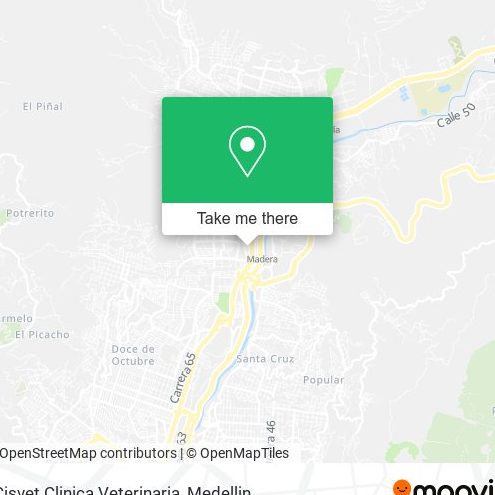 Cisvet Clínica Veterinaria 1 cisvet clinica veterinaria