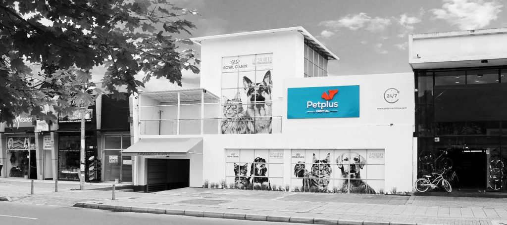 Clínica Veterinaria 24 horas 1 clinica veterinaria 24 horas