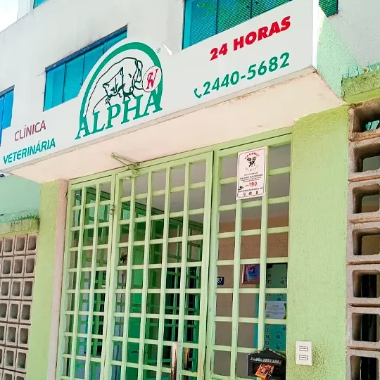 Clínica Veterinaria Alfa Urgencias 24 horas 1 clinica veterinaria alfa urgencias 24 horas
